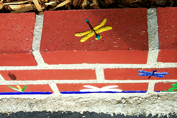 Dragonfly on top of brick.