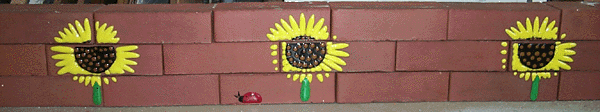 Sunflower scene.